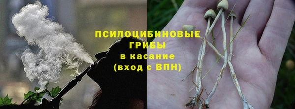 винт Арсеньев