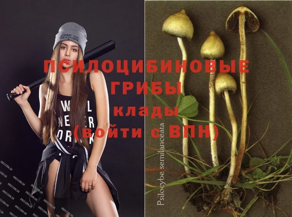 mdpv Аркадак